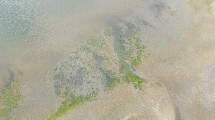 Sea coast sand texture Photo