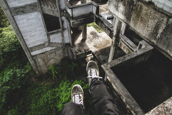 Tree water shoe architecture Photo