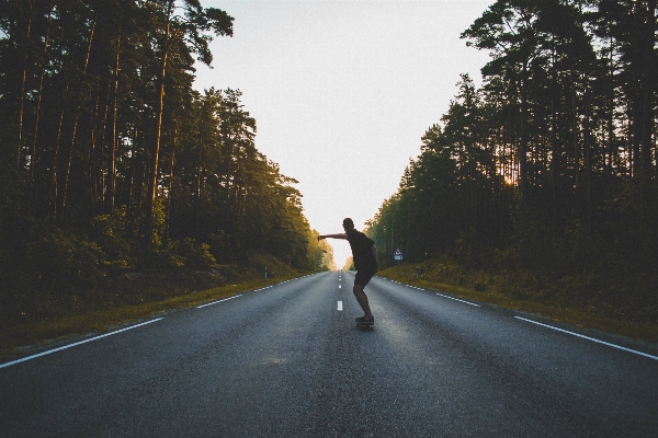 Фото дерево лес закат дорога