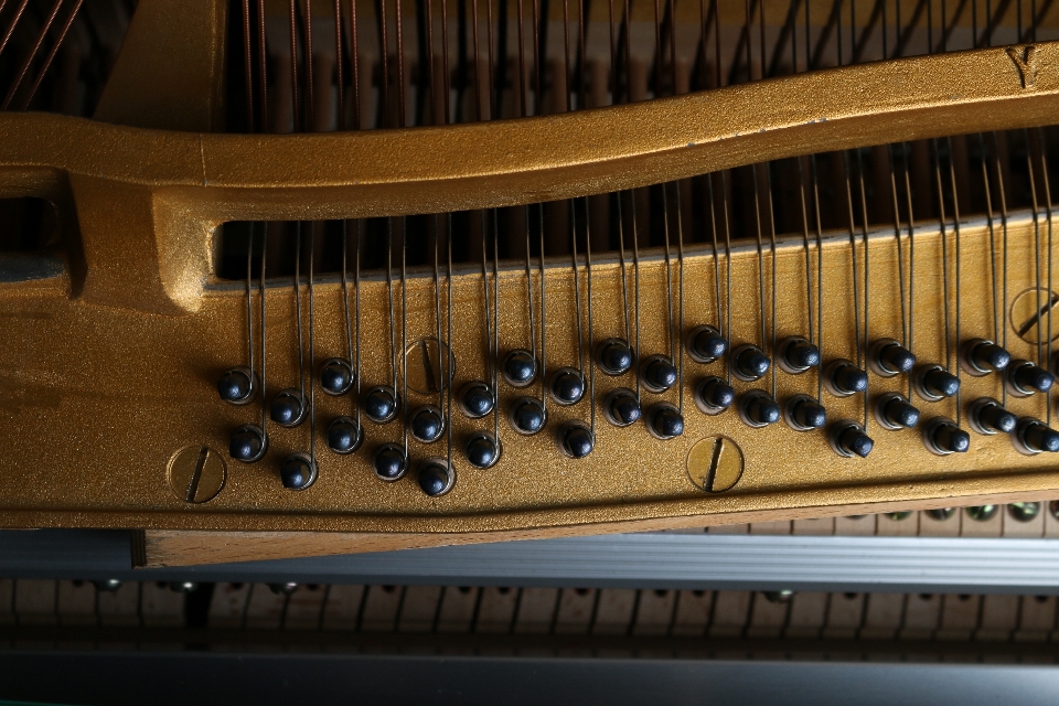 Fortepian instrument muzyczny smyczkowy
 grający na pianinie
