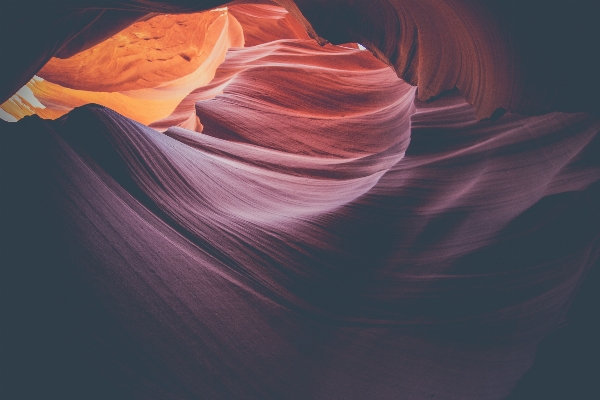 Rock flower petal sandstone Photo