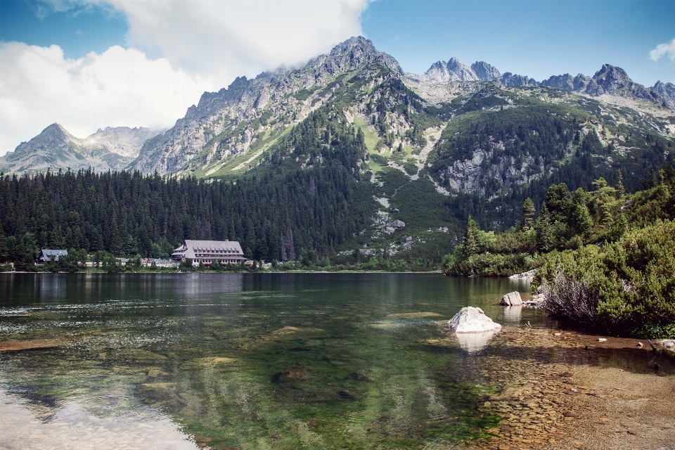 árvore floresta região selvagem
 montanha