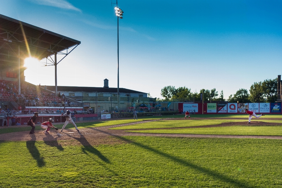 Césped estructura béisbol deporte