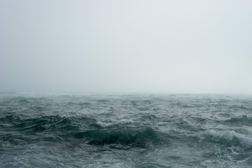 海 海岸 水 海洋