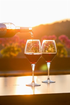 Sunset wine glass food Photo