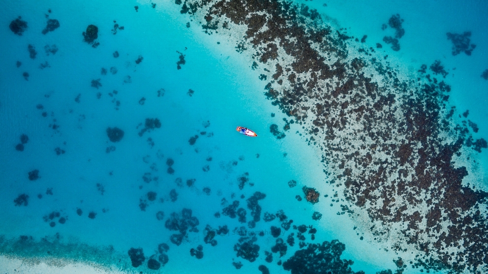 海 水 海洋 ボート