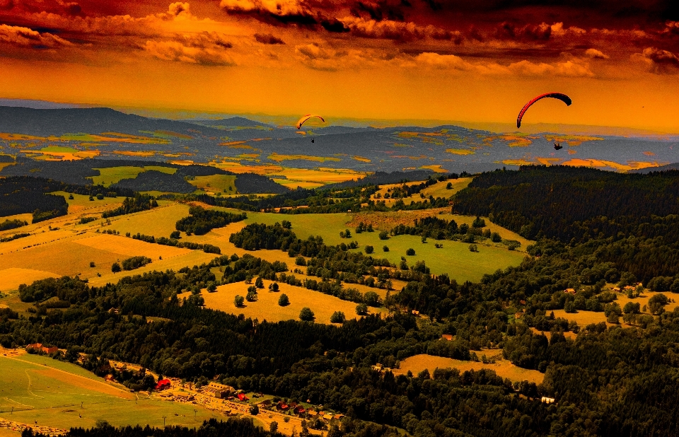 Paysage arbre horizon montagne