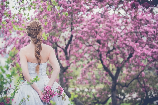 Blossom plant woman flower Photo