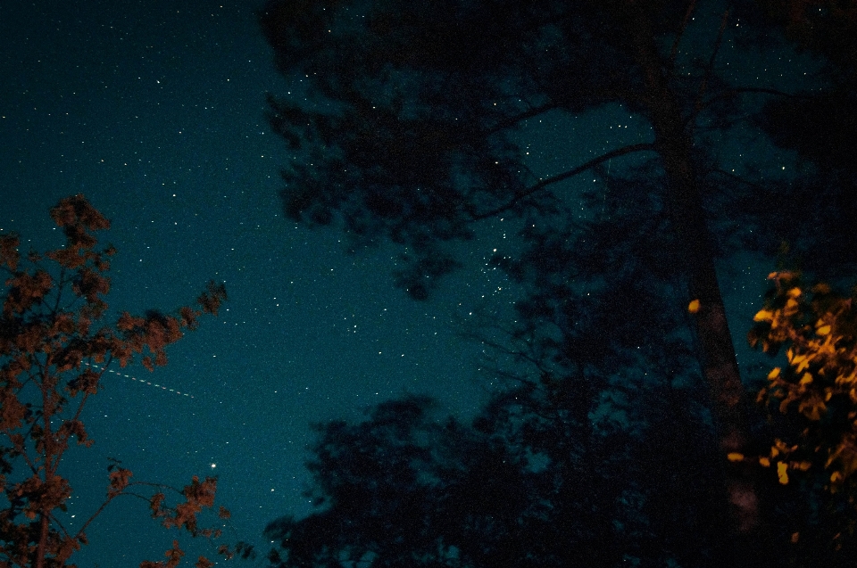 空 夜 日光 雰囲気