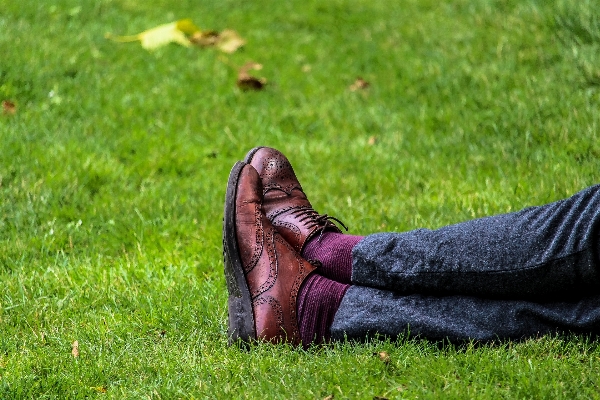 Foto Tangan rumput sepatu halaman