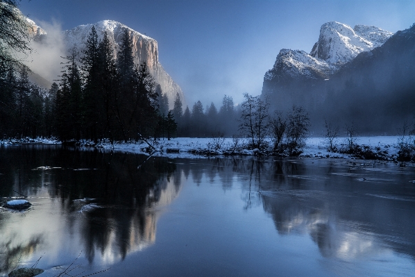 Foto Paisaje árbol agua naturaleza