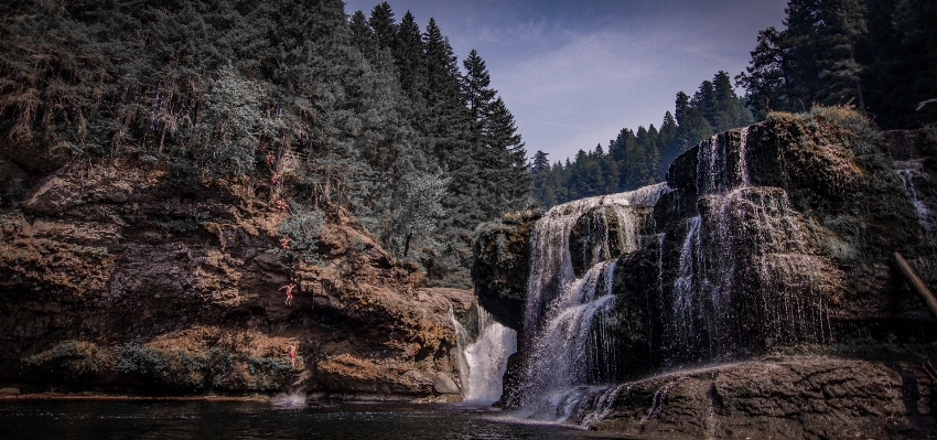 Landscape nature forest rock Photo