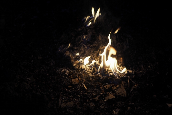 Light night sparkler flame Photo