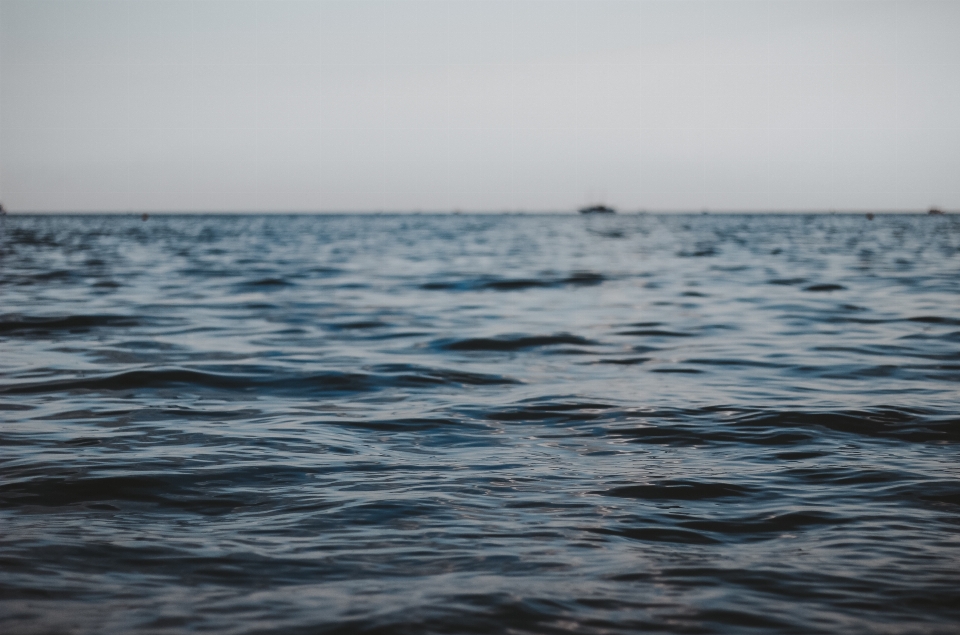 Strand meer küste wasser