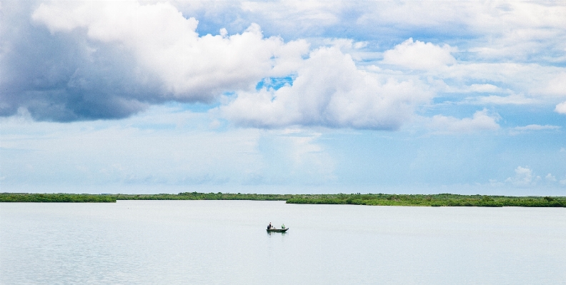 海 水 自然 地平線 写真