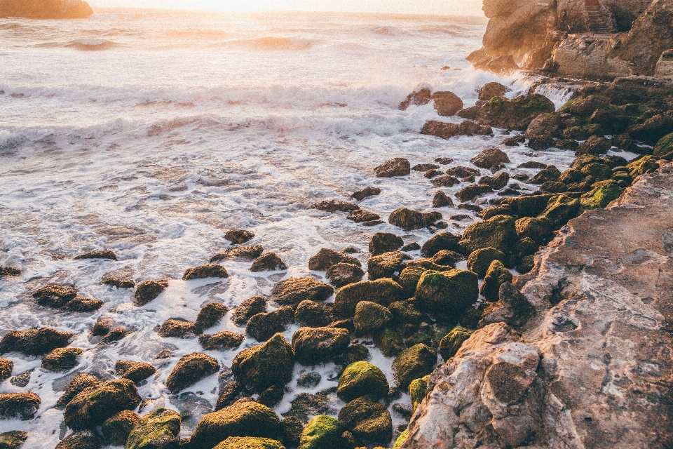 Beach landscape sea coast