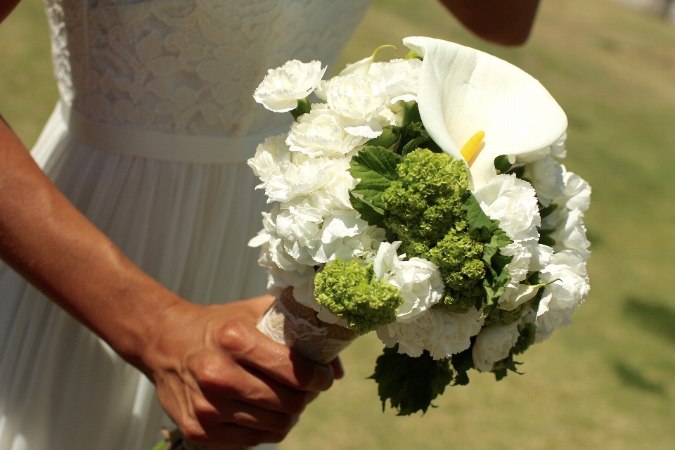 Planta flor boda novia