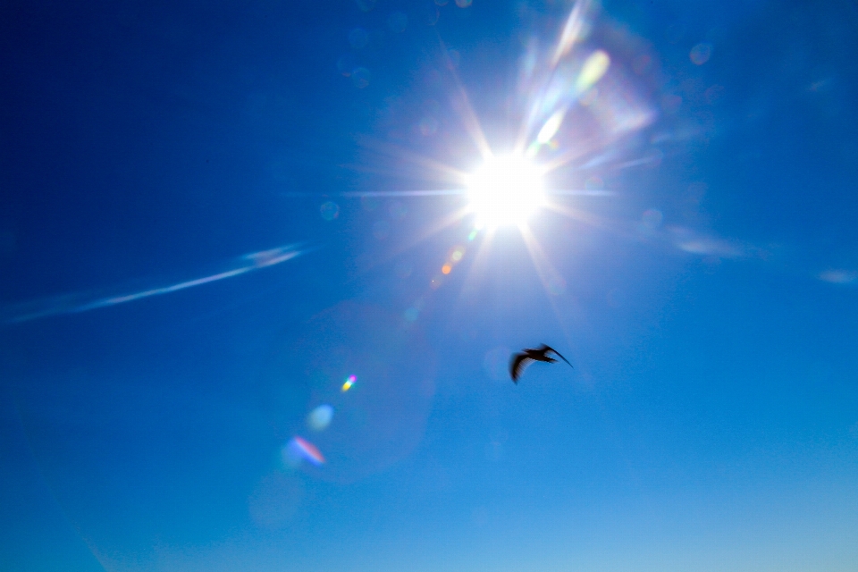 Lumière ciel du soleil bleu