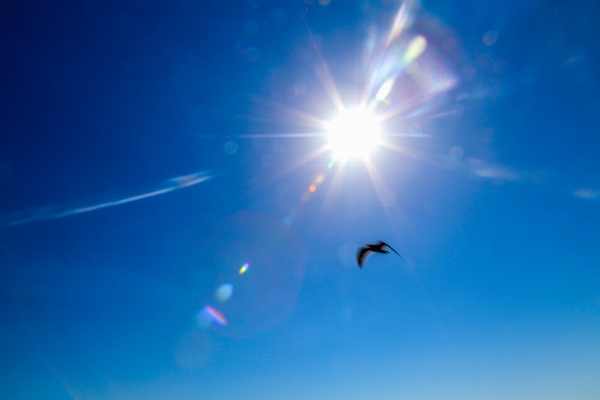 Light sky sunlight blue Photo