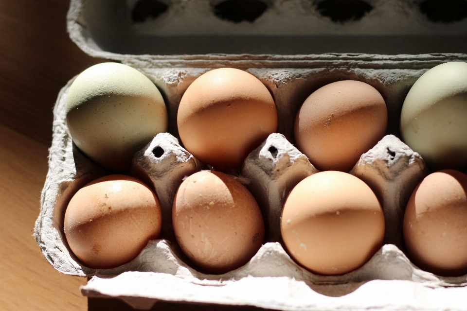 Egg food close up baking