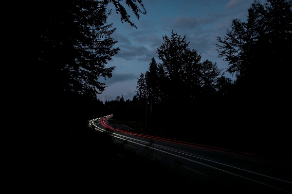 Foto Pohon lampu hitam dan putih
 langit