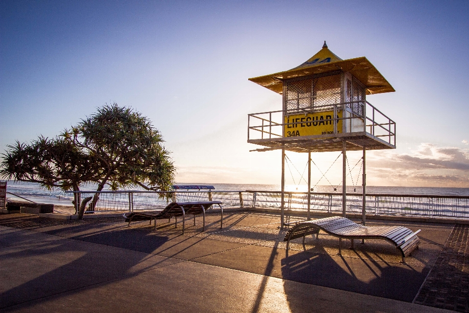 Plage mer arbre promenade