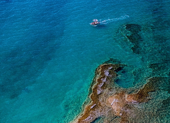 Zdjęcie Morze wybrzeże woda ocean