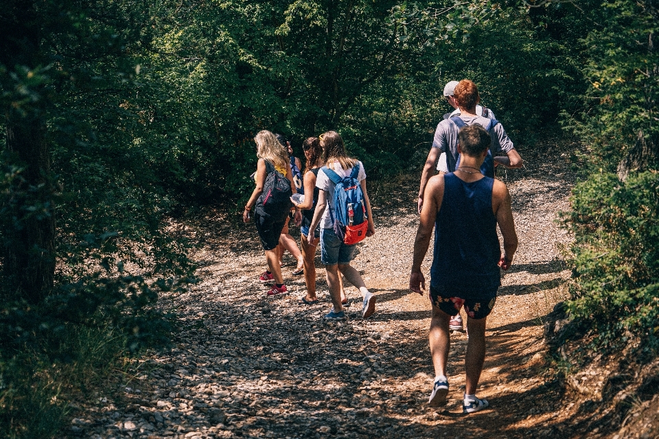 Forest walking people hiking