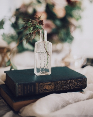 Book white flower interior Photo