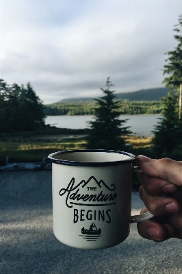 Tree coffee morning lake Photo