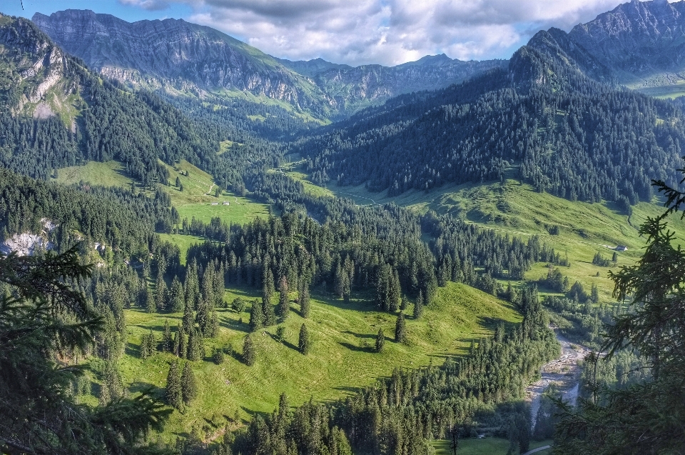 Paisagem floresta região selvagem
 montanha