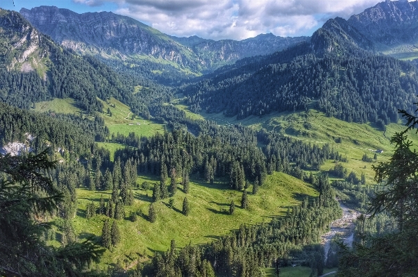 Landscape forest wilderness mountain Photo