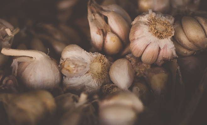 Foto Tanaman bunga makanan bawang putih