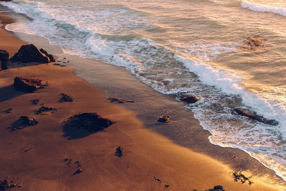 пляж море побережье вода