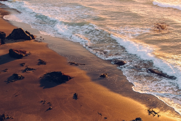 Beach sea coast water Photo