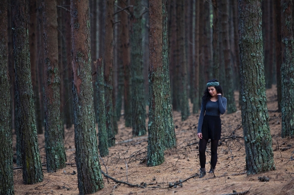 Baum natur wald wildnis
 Foto