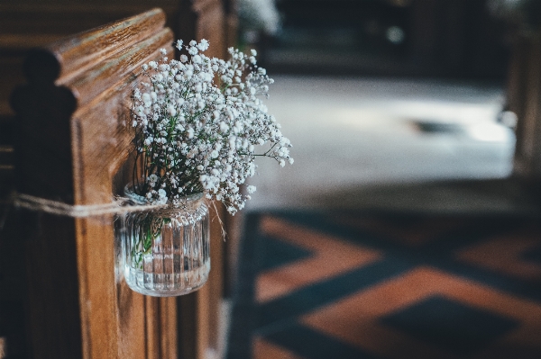 Flower glass jar spring Photo