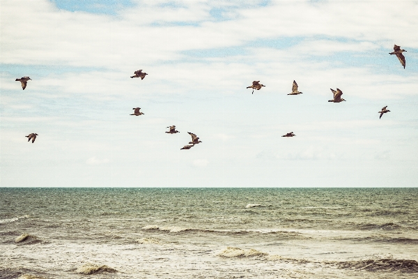 ビーチ 海 海岸 砂 写真