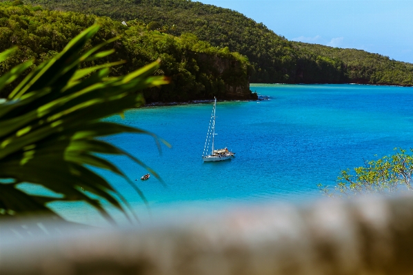 Beach sea water grass Photo