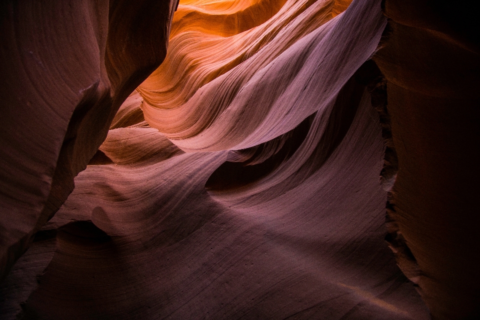 Rock lumière du soleil fleur