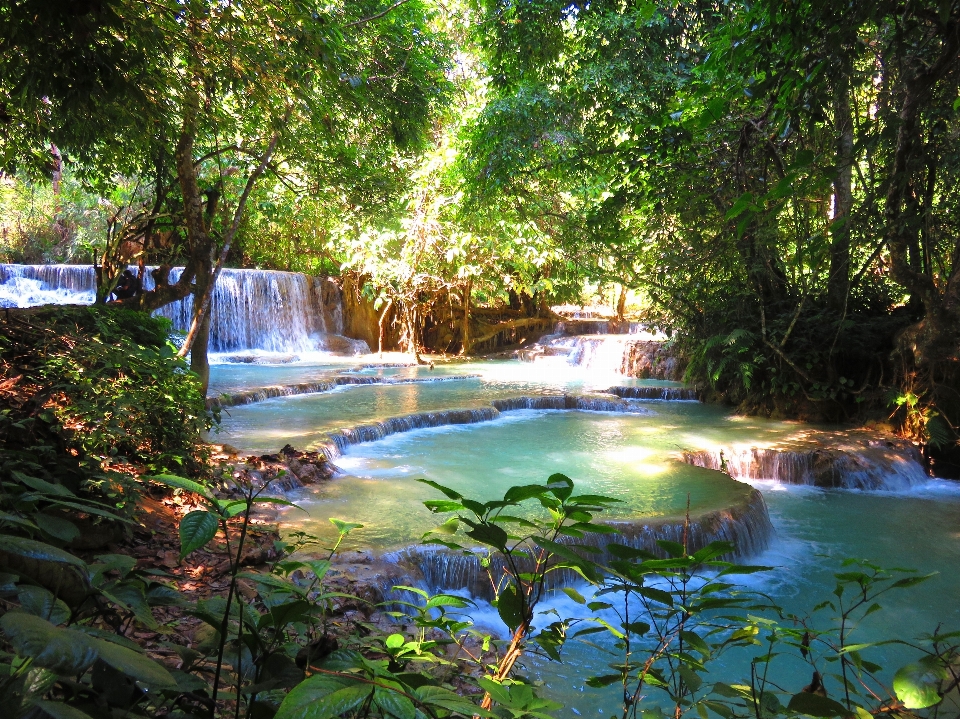 Wasser wald wasserfall sonnenlicht