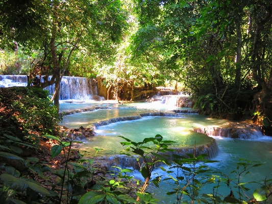 Water forest waterfall sunlight Photo