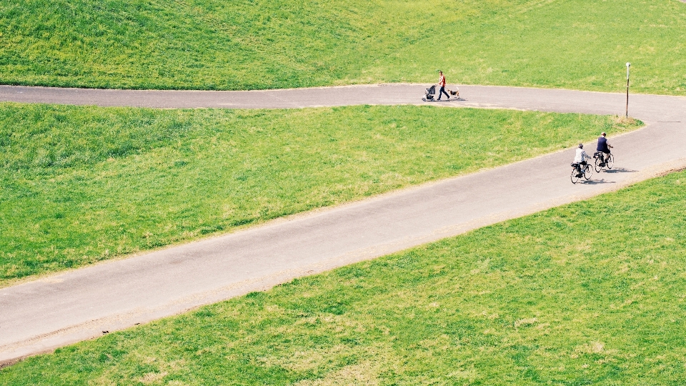 Grass walking road field