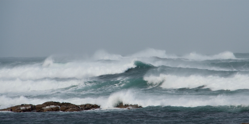 Beach sea coast ocean Photo