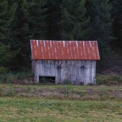 Foto Legna azienda agricola casa fienile