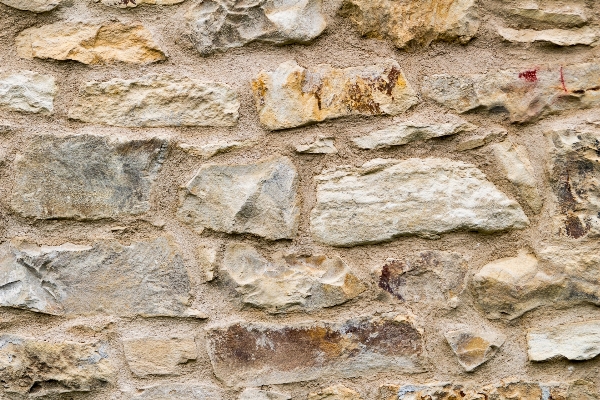 Rock wood texture trunk Photo