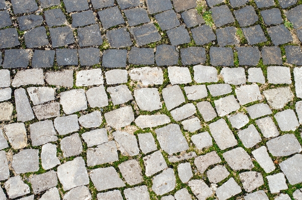 Grass floor cobblestone asphalt Photo