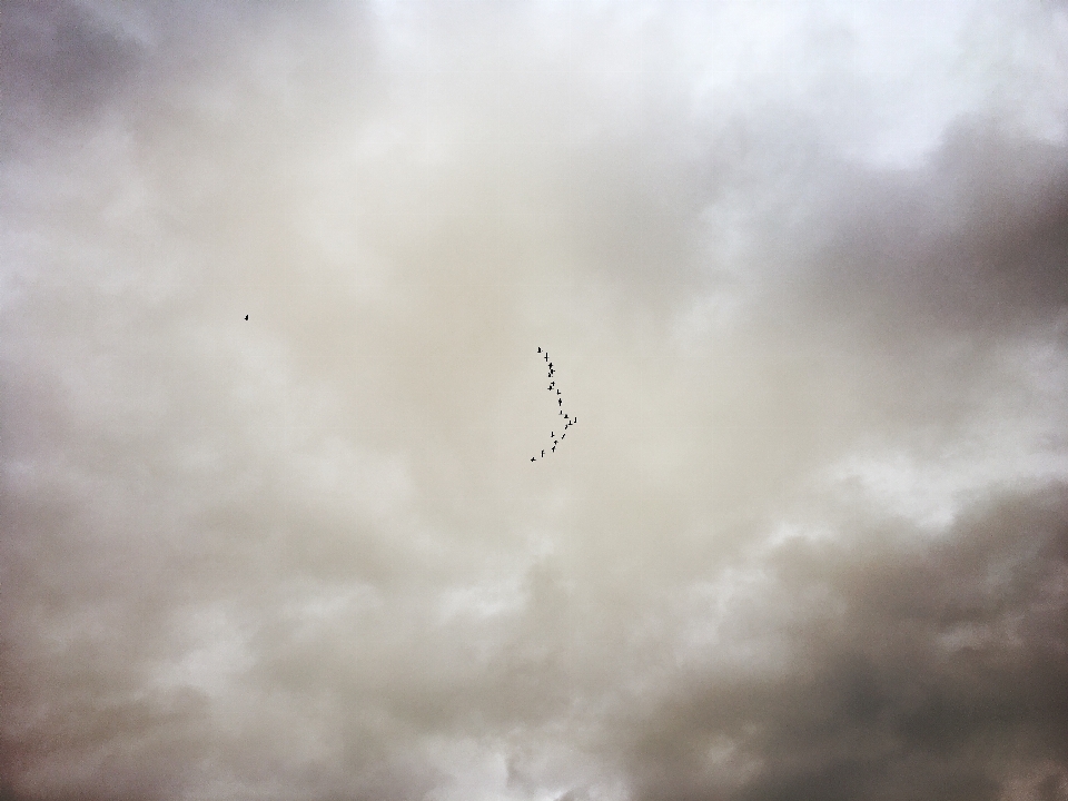 Ala nube cielo atmosfera