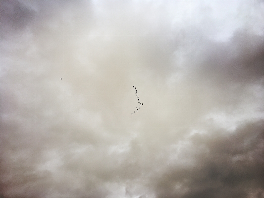 Photo Aile nuage ciel atmosphère