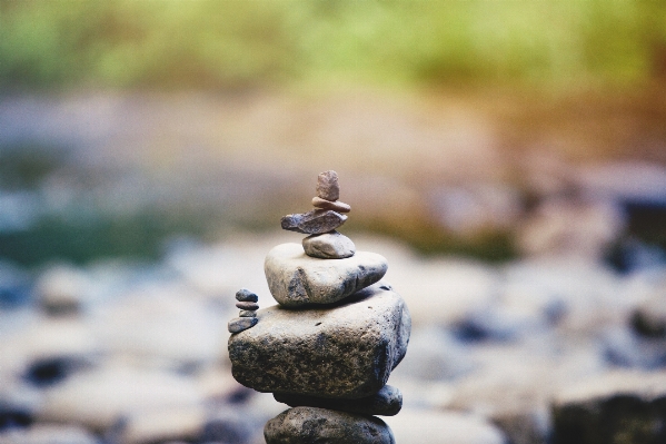 Tree water nature rock Photo